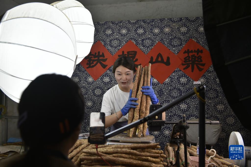 申请免费自动送彩金